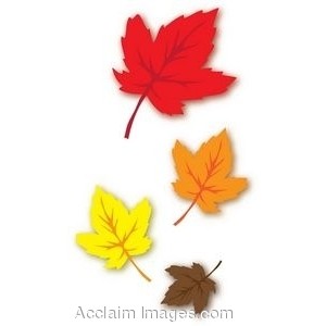 300x300 Top 80 Autumn Leaves Clip Art