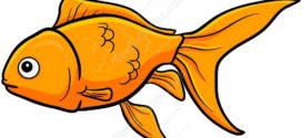 272x125 Goldfish Gold Fish Clip Art Black And White Free Clipart On Gold