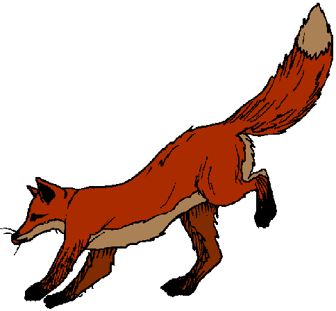 484x448 Fox Clip Art Free Clipart Images 2