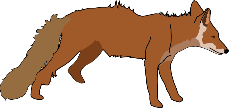 800x378 Free Realistic Looking Fox Clip Art