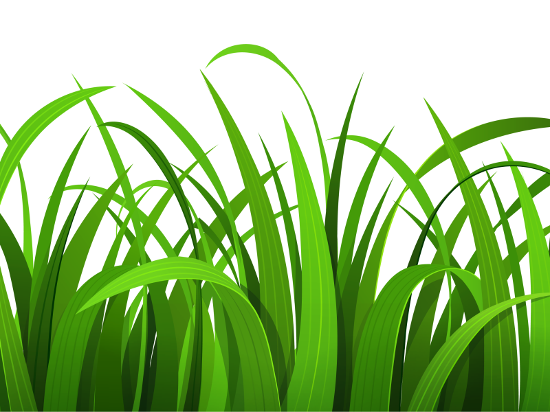 800x600 Grass Clip Art Free Free Clipart Images 5