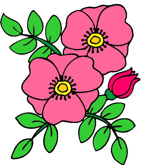 490x565 Photos Clipart Flower Plant