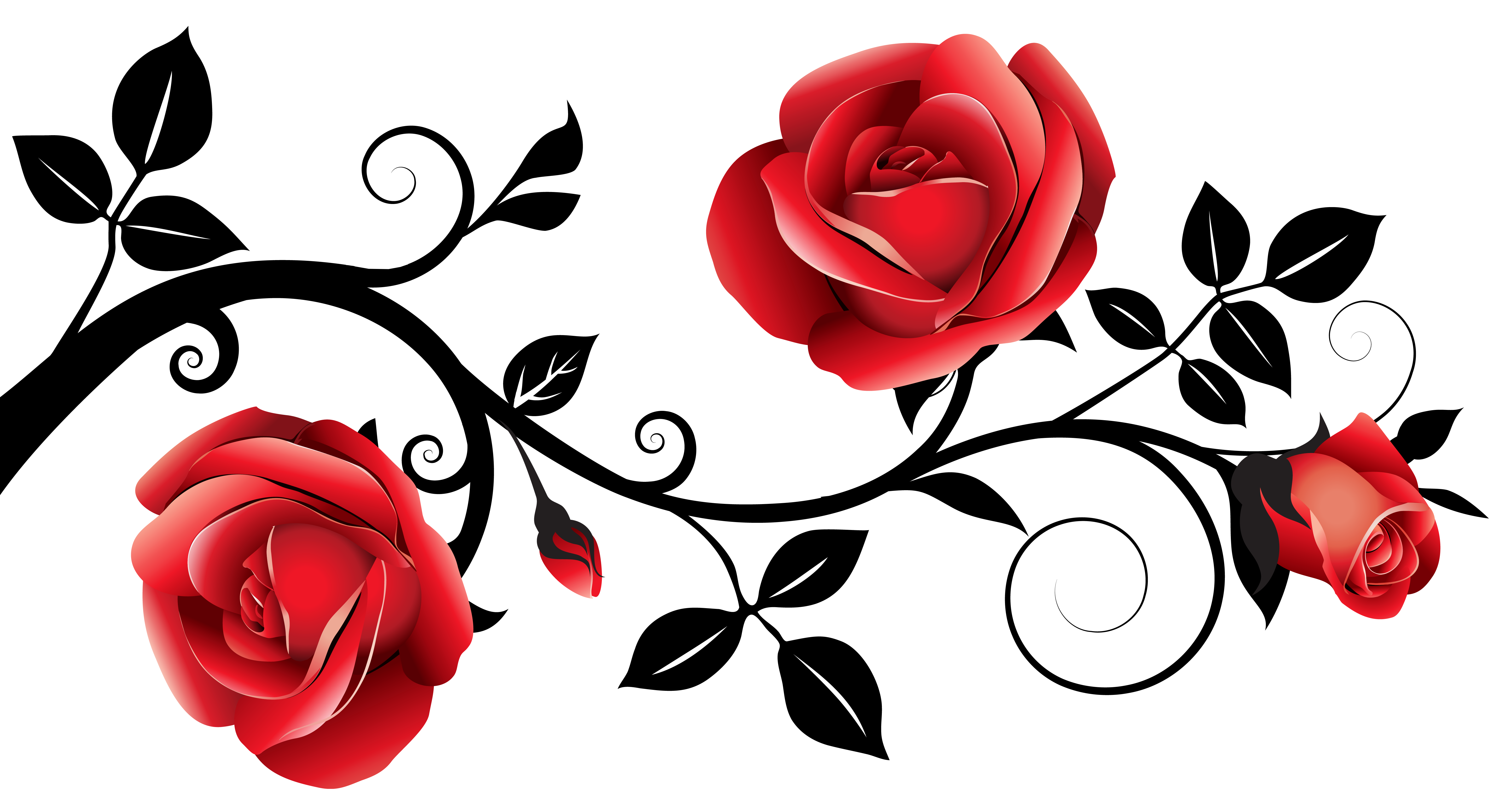 6308x3375 Top 76 Roses Clip Art