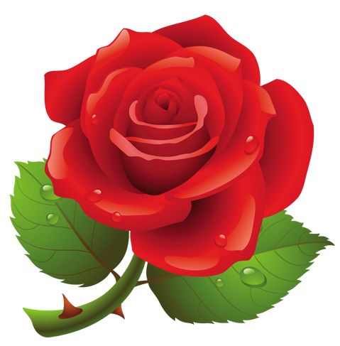 Free Clipart Roses