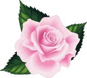 170x154 Single Pink Rose Clip Art Clipart Panda