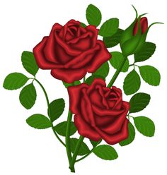 236x248 Clip Art Roses
