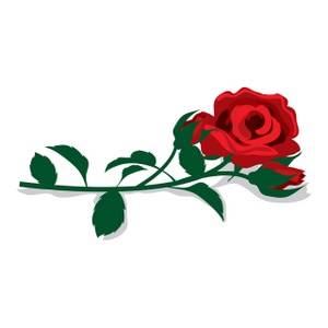 300x300 Free Clip Art Roses