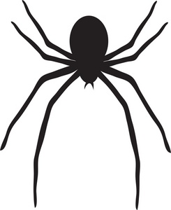 245x300 Spider Clip Art With Transparent Background Free