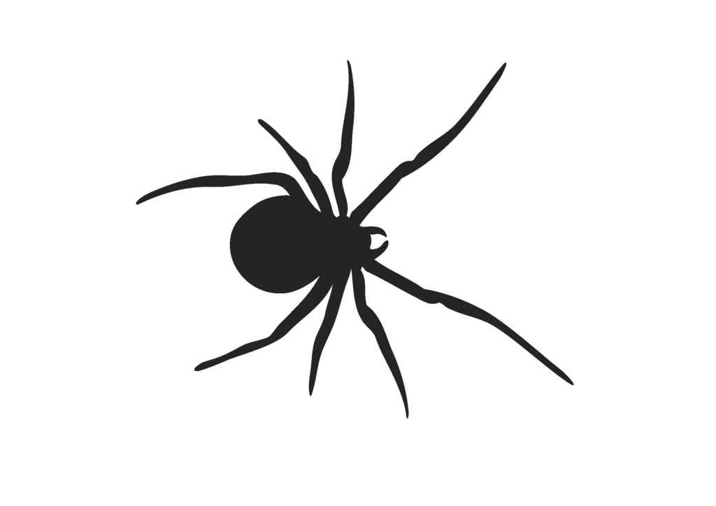 1024x724 Silhouette Clipart Spider