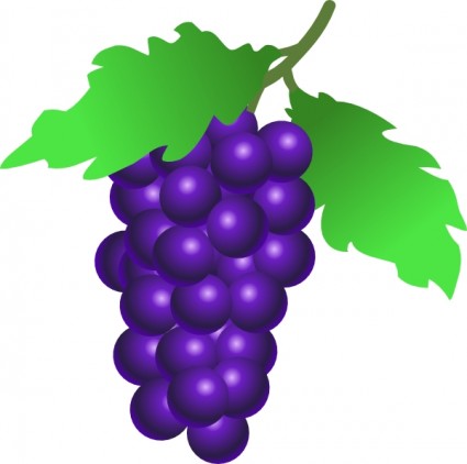 425x422 Grapes Vine Clip Art Vector Clip Art Free Vector Free Download