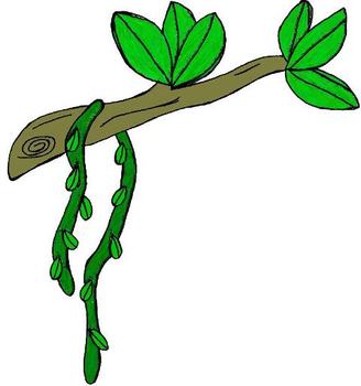 328x350 Top 77 Rainforest Clip Art