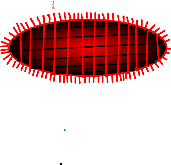 600x579 Mat Clip Art