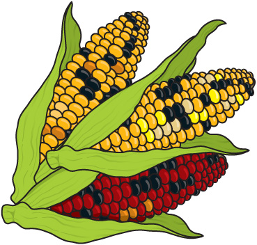 369x352 Corn Toprn Farm Clip Art Images For Tattoos