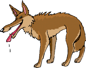 300x237 Coyote Clipart Free Clipart Images Image