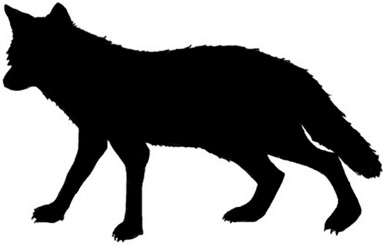 562x360 Coyote Clipart Silhouette