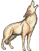 135x175 Coyote Clip Art Free Clipart Panda