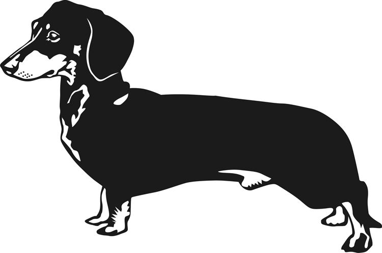 750x497 Dachshund Clipart