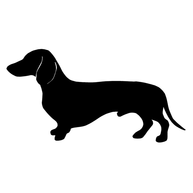 736x736 Dachshund Clipart Transparent