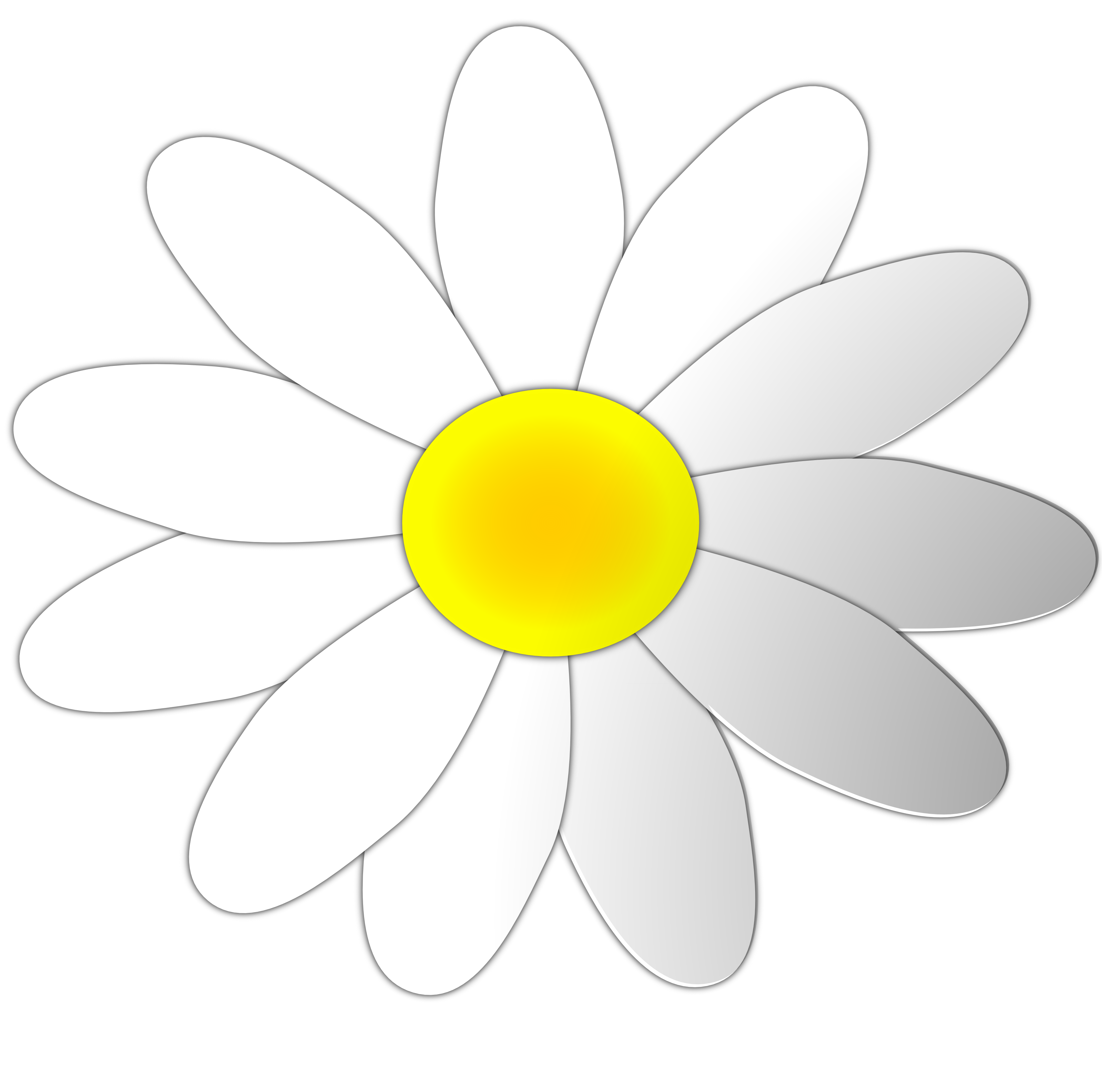 3333x3304 Daisy Flower Clipart