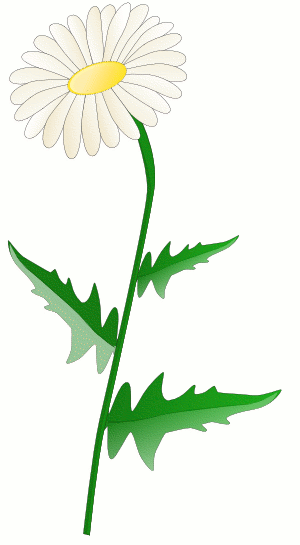 300x545 Free Daisy Clipart Public Domain Flower Clip Art Images And 5