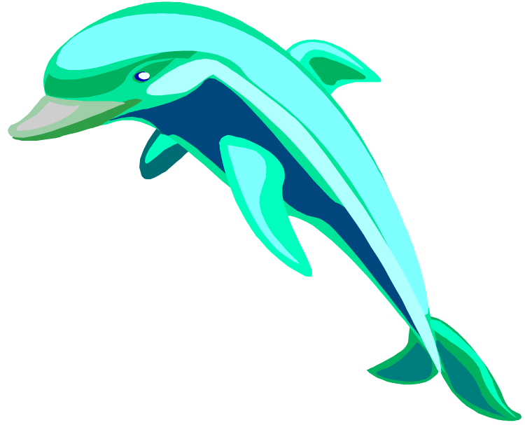 750x607 Free Dolphin Clipart