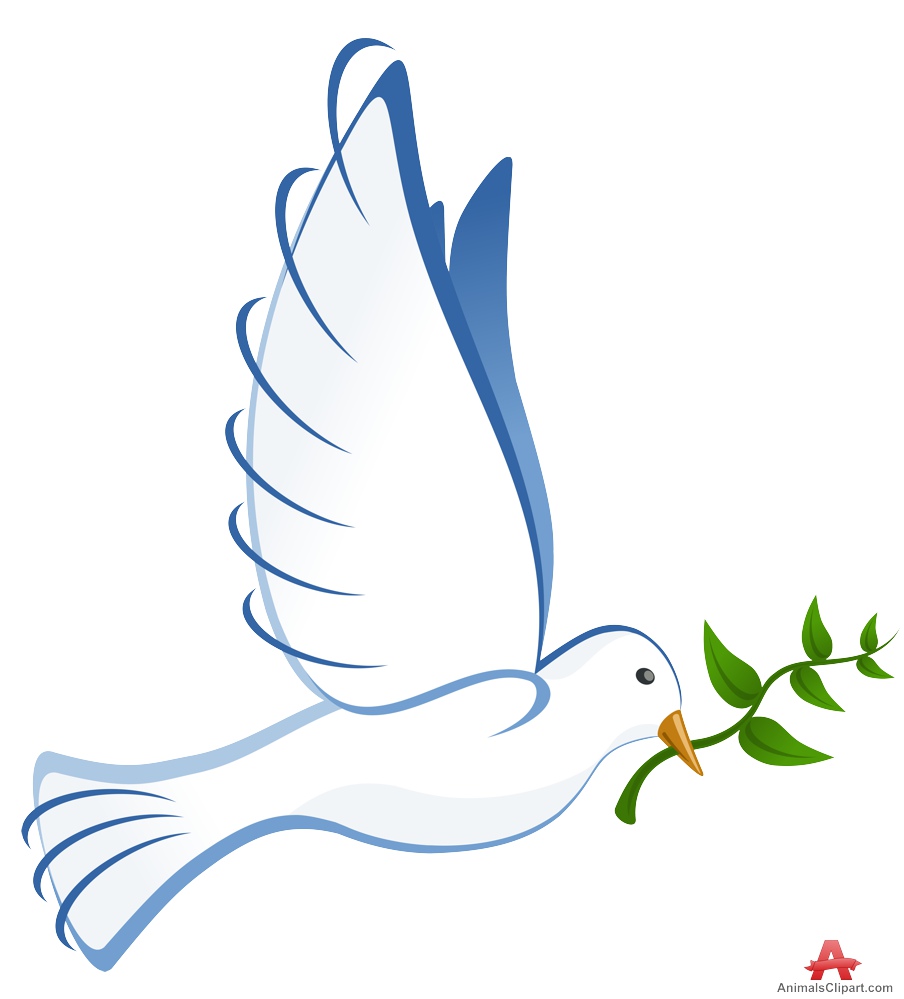 904x999 Dove Clipart Peace Dove