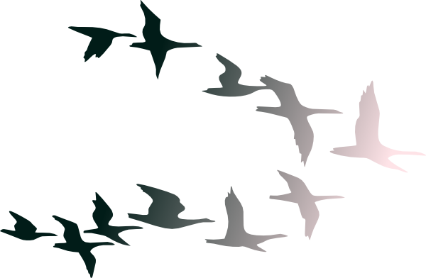 600x392 Dove Clipart Free Bird