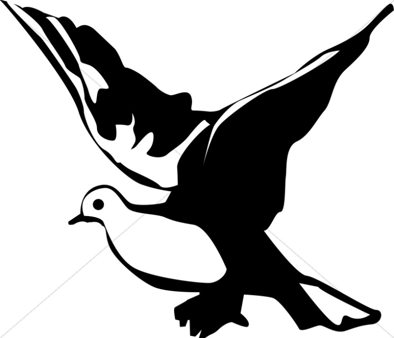776x665 Clipart Dove