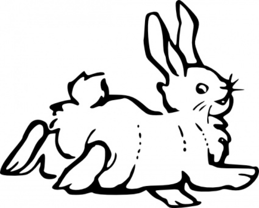 1024x822 Outline Drawings Of Animals Free Download Clip Art Free Clip