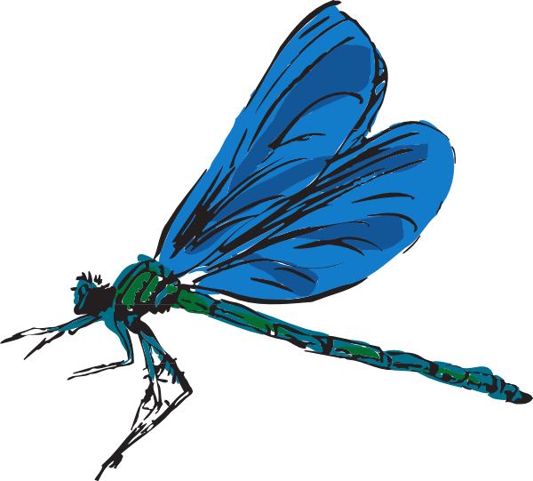 600x541 Free Dragonfly Clipart Image