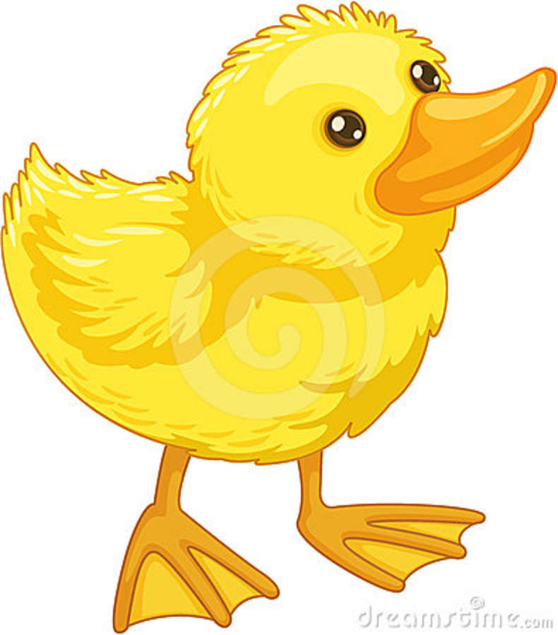 790x900 Duck Clipart For Kid