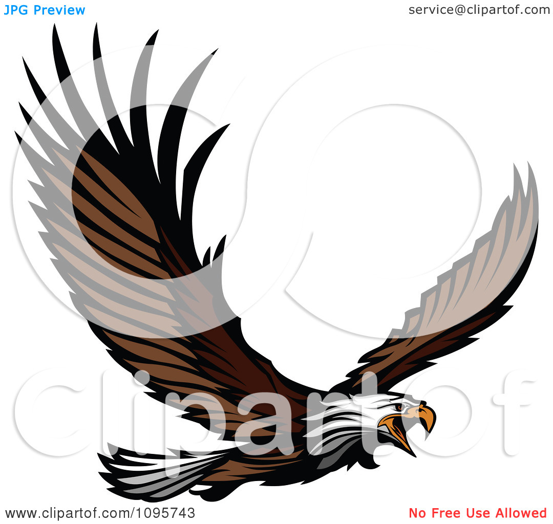 1080x1024 Bald Eagle Clip Art