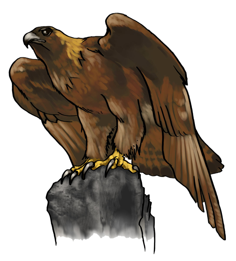 800x886 Golden Eagle Clipart