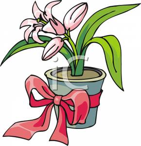 290x300 Free Clipart Image A Pink Easter Lily In A Potted Plant