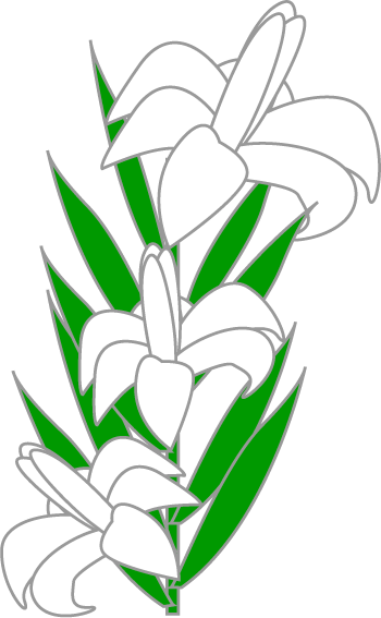 350x567 Clipart Lilies