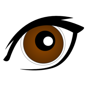 300x300 Eyeball Brown Eyes Clipart Free Clipart Images Image