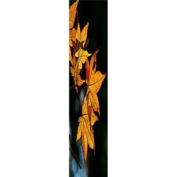 600x600 Free Fall Leaf Borders Make A Gorgeous Autumn Publication Using