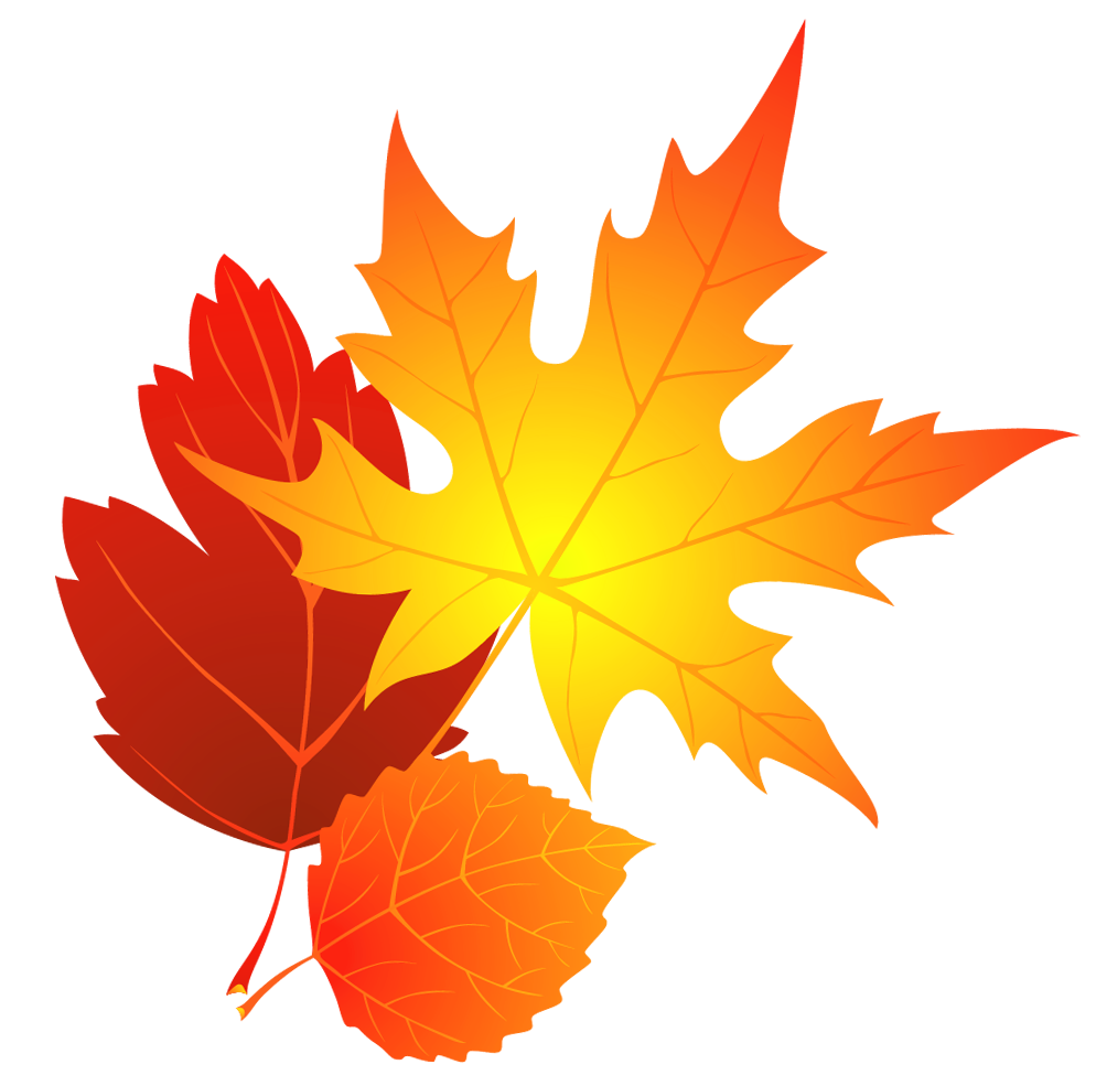 994x985 Top 88 Autumn Leaves Clip Art