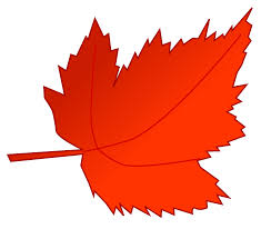 235x215 Fall Leaf Clipart