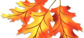 272x125 Fall Leaves Clipart Clipart Panda