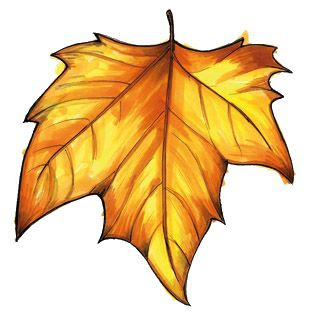 315x315 Fall Leaves Autumn Leaves Images Free Yellow Leaves Pictures Clip