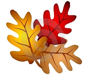 300x250 Free Fall Foliage Clipart