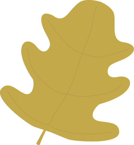 447x482 Fall Leaf Clip Art