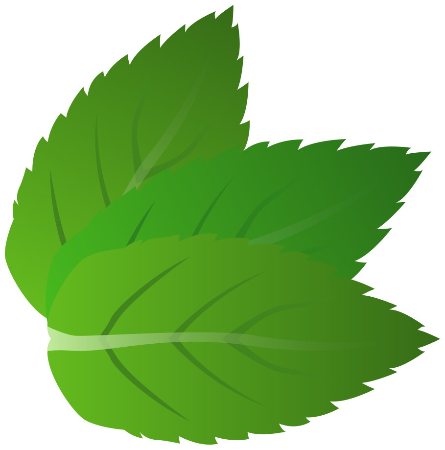 909x919 Leaves Clipart Images