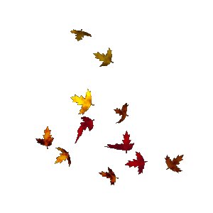 300x300 Clip Art Tree With Falling Leaves Clipart