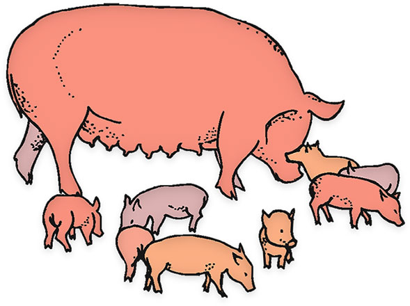 589x440 Farm Animals Clipart Animated