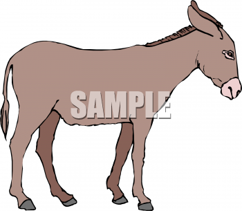 350x305 Royalty Free Donkey Clip Art, Farm Animal Clipart