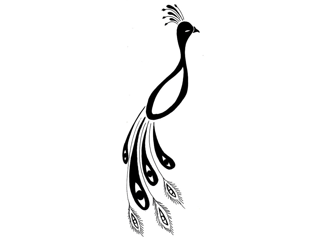 1280x960 Simple Clipart Peacock Feather