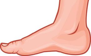 292x179 Clip Art Foot