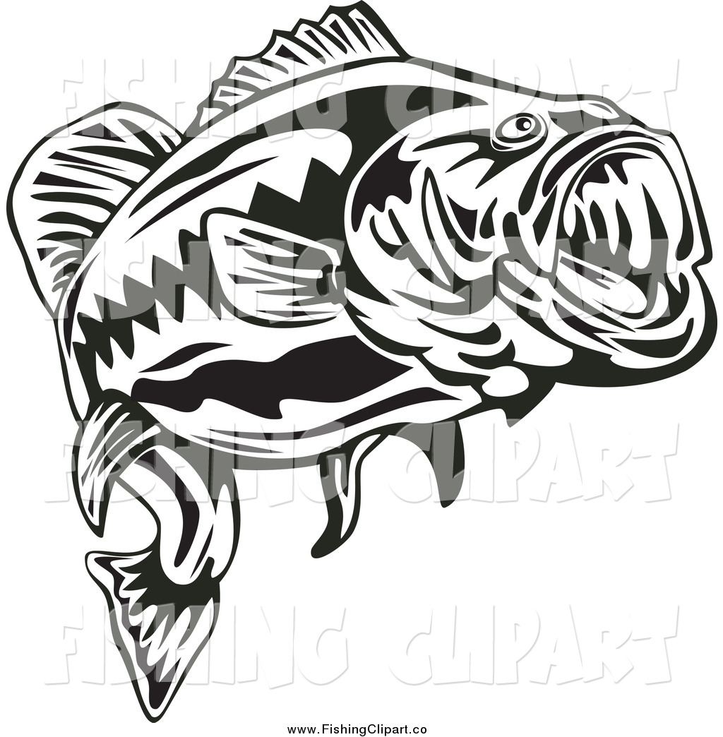 1024x1044 Clip Art Of A Black And White Largemouth Bass Fish By Patrimonio